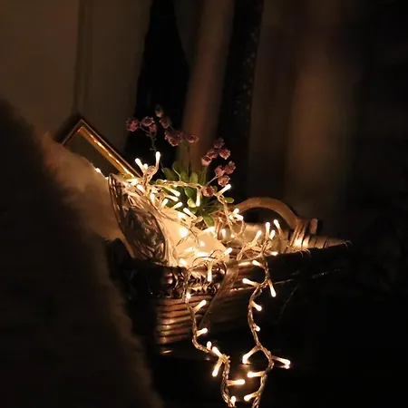 All Seasons Apartment
